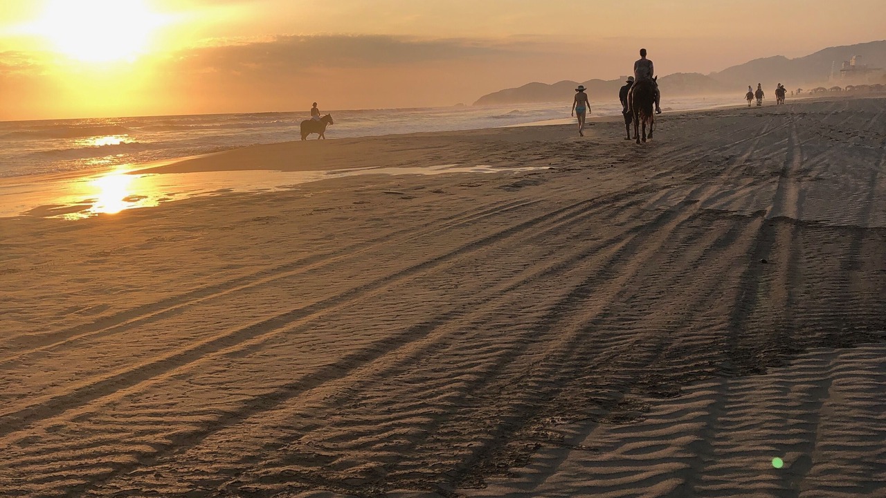 Photo of Others in Playa Diamante