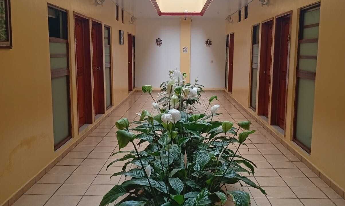 Photo of Patio Balcony in Martinez de La Torre