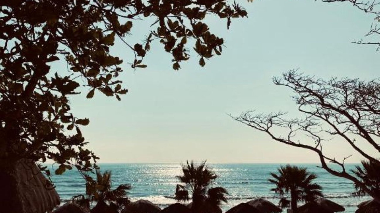 Photo of Outdoor in Anton Lizardo