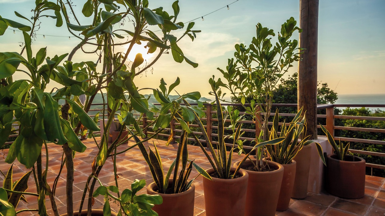 Photo of Patio Balcony in Mazunte