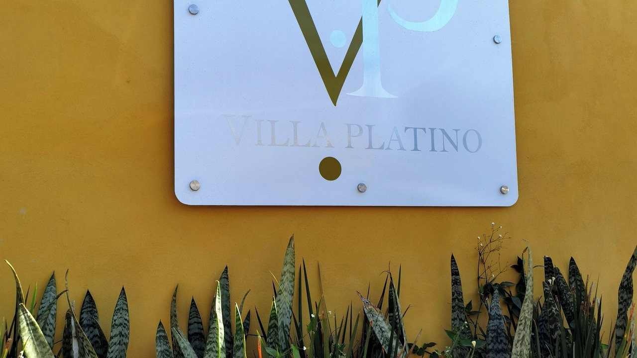 Photo of Outdoor in Pachuca