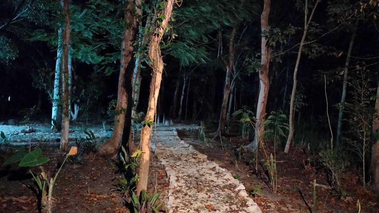 Photo of Outdoor in Xpujil
