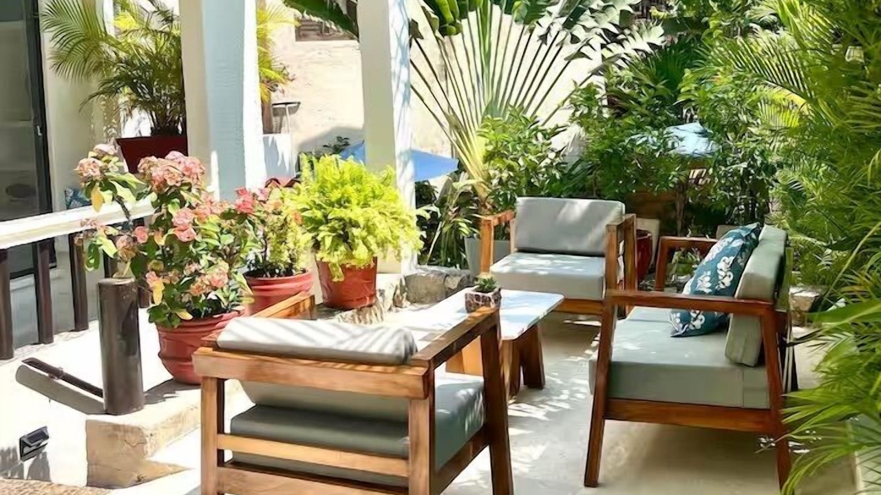 Photo of Others in Ixtapa - Zihuatanejo