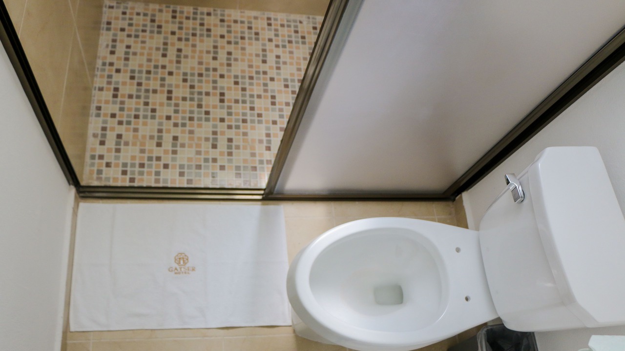 Photo of Bathroom in Valladolid
