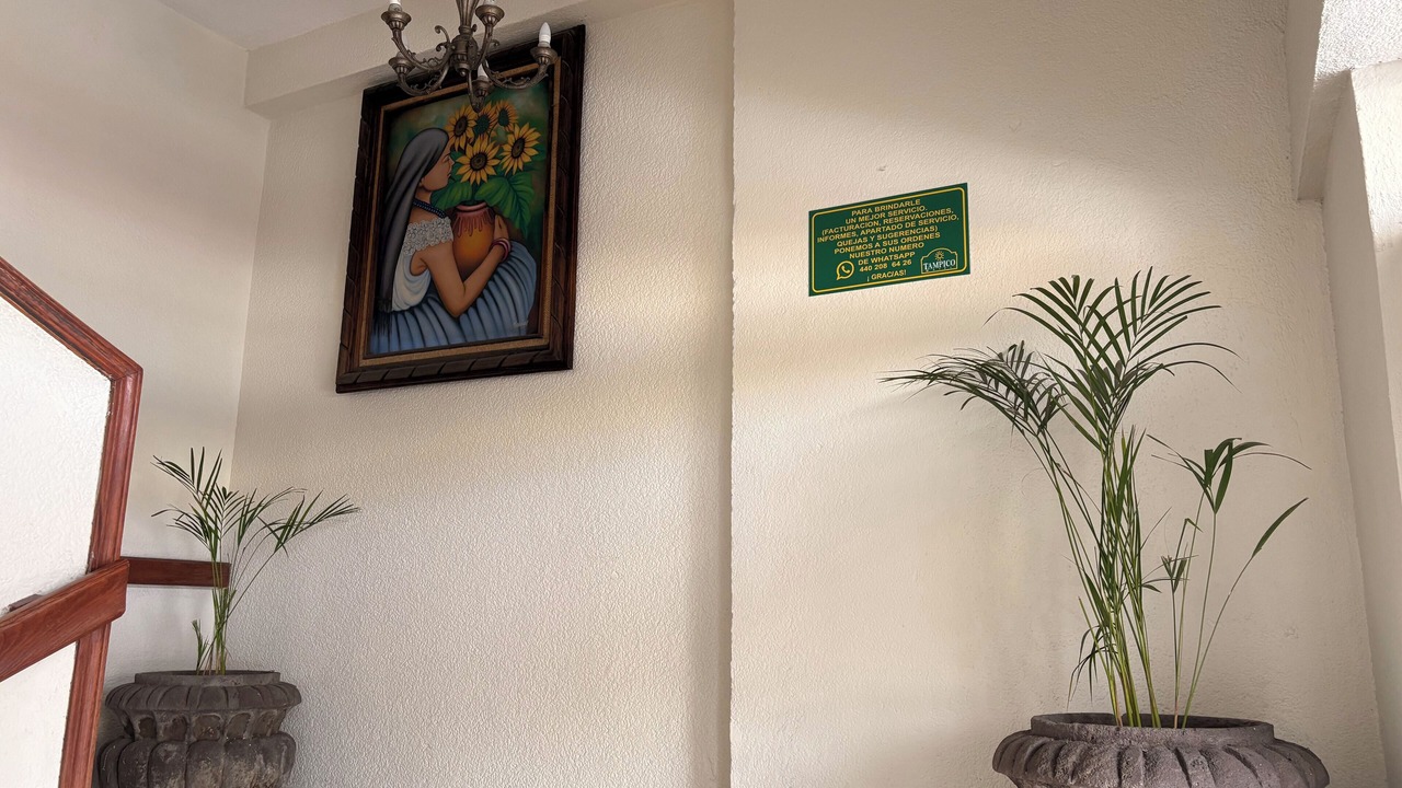 Photo of Others in San Luis Potosi