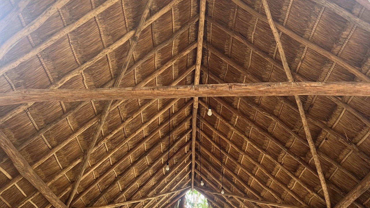 Photo of Outdoor in Tulum
