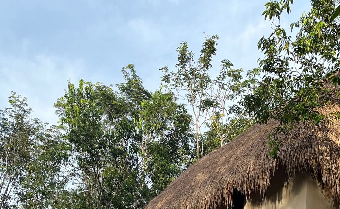 Photo of Outdoor in Tulum