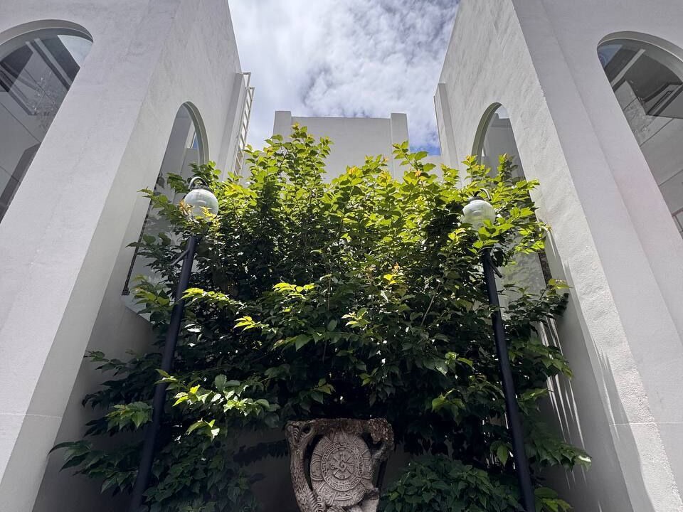 Photo of Outdoor in San Cristobal de las Casas