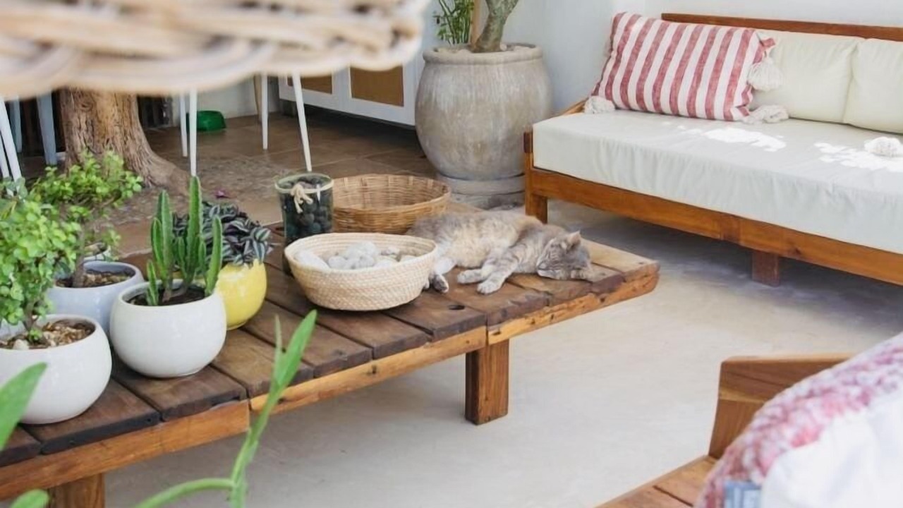 Photo of Outdoor in Mahahual