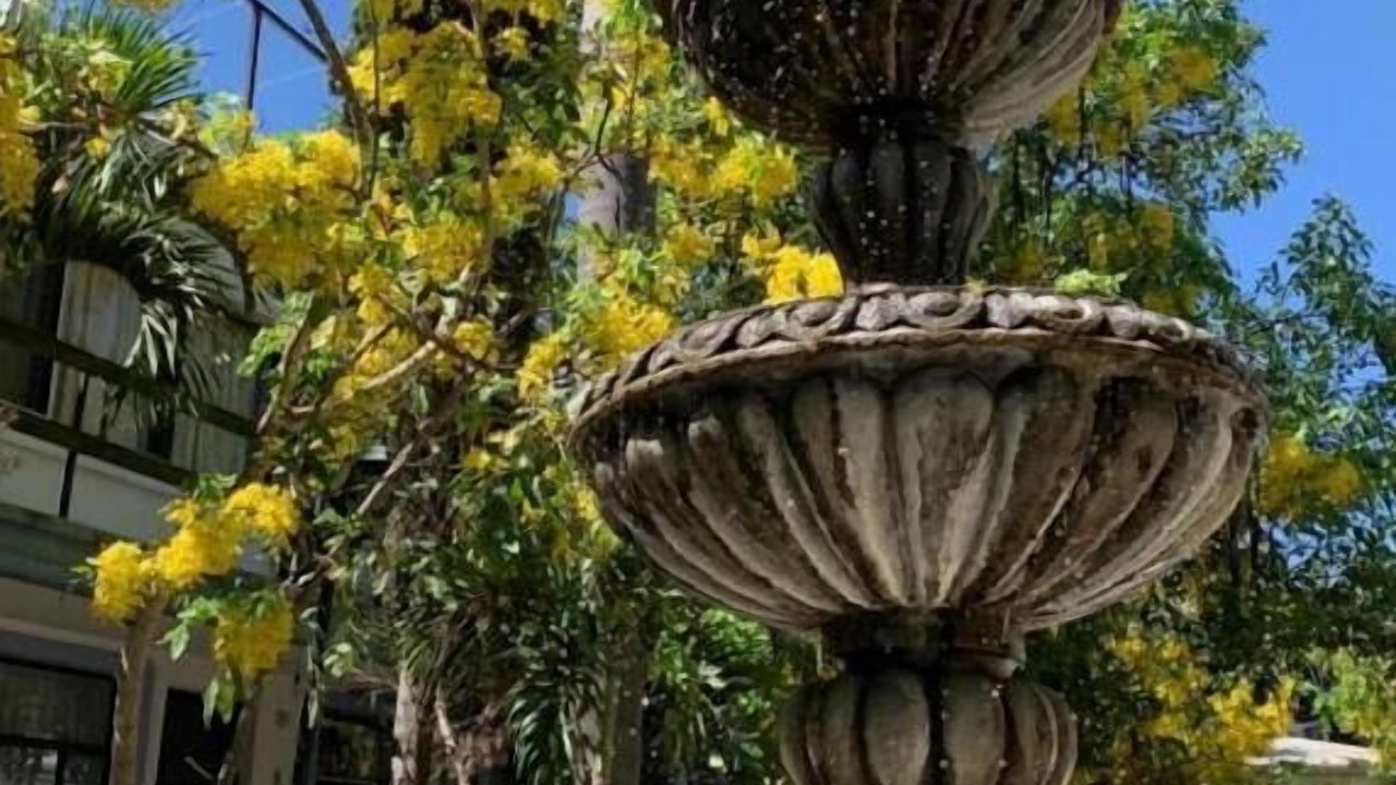 Photo of Outdoor in Zapopan