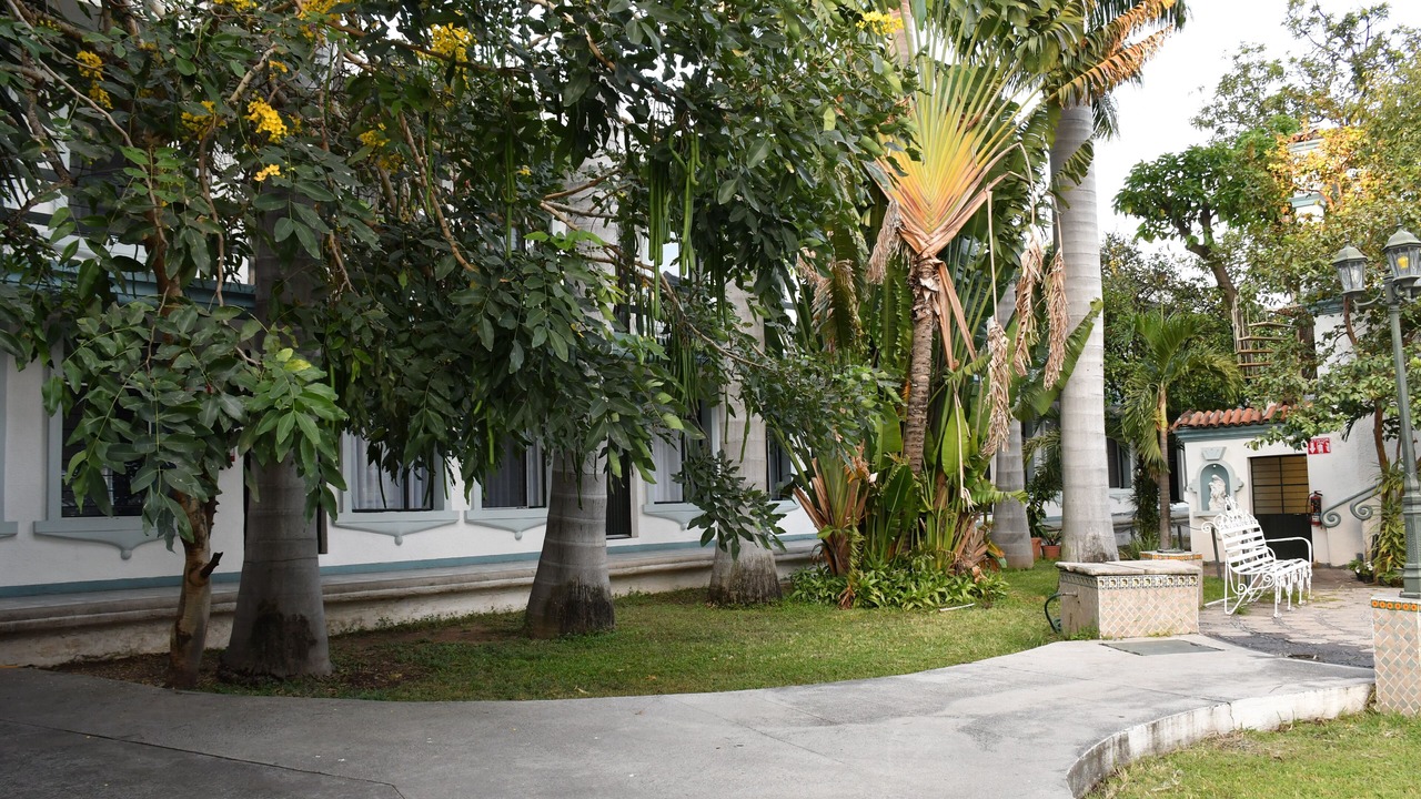 Photo of Outdoor in Zapopan