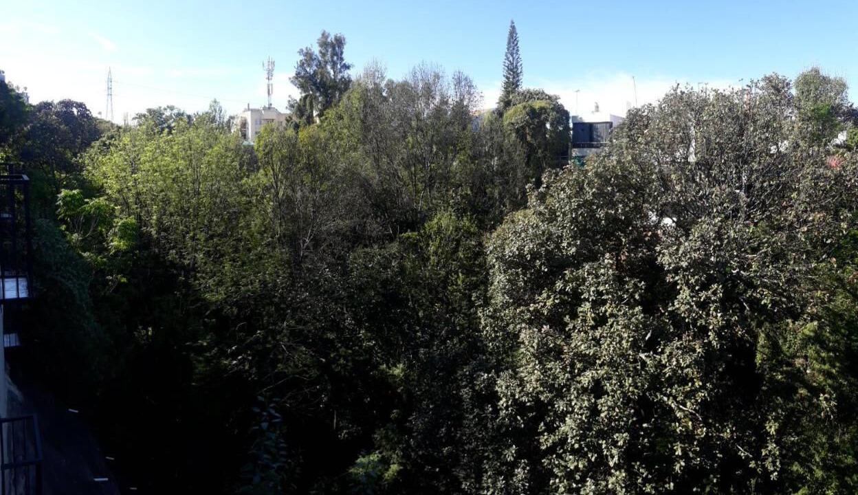 Photo of Outdoor in Zapopan