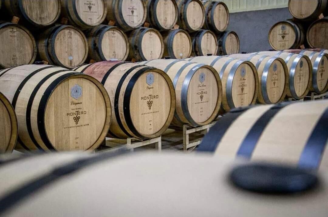 Photo of Others in Valle de Guadalupe