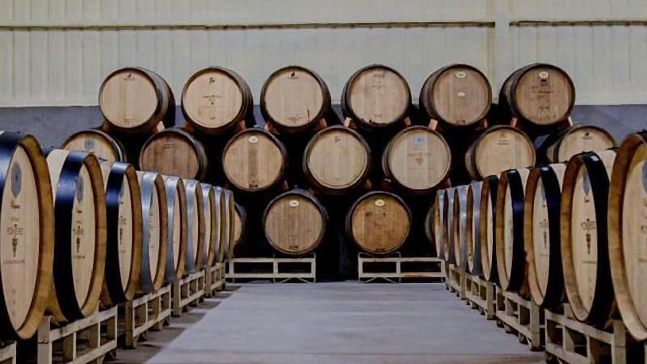 Photo of Others in Valle de Guadalupe