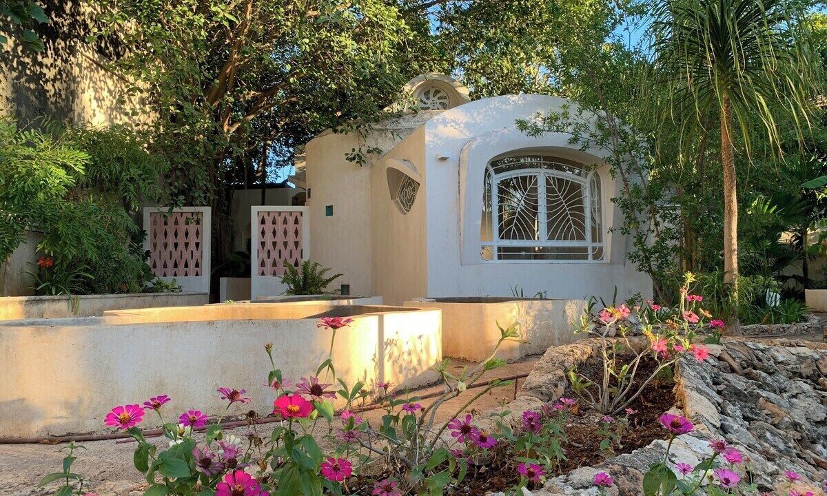 Photo of Outdoor in Centro