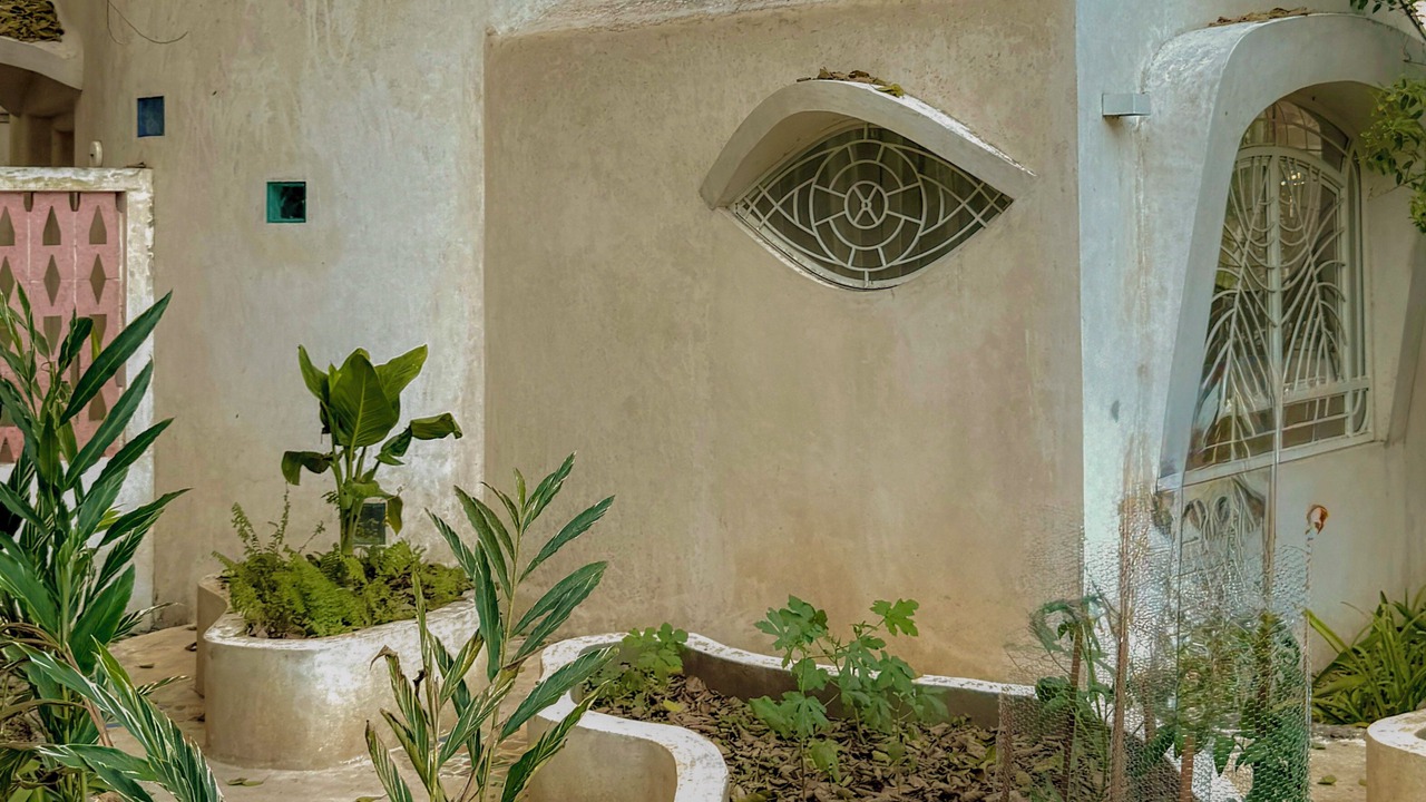 Photo of Outdoor in Centro