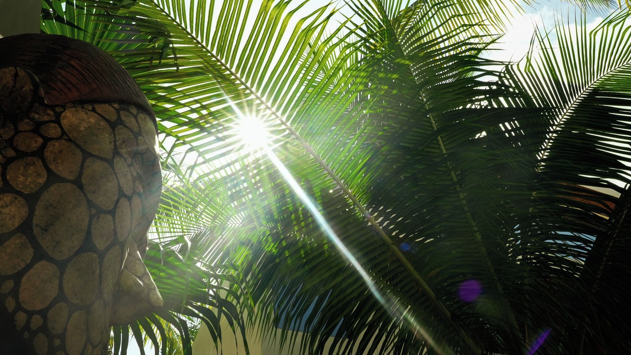 Photo of Outdoor in El Cuyo