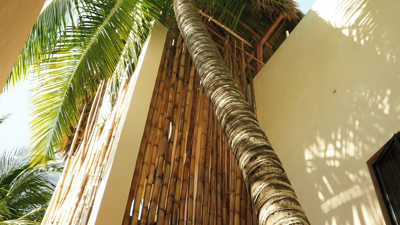 Photo of Outdoor in El Cuyo