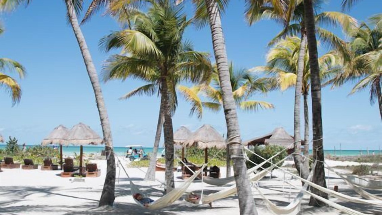 Photo of Outdoor in Downtown Holbox