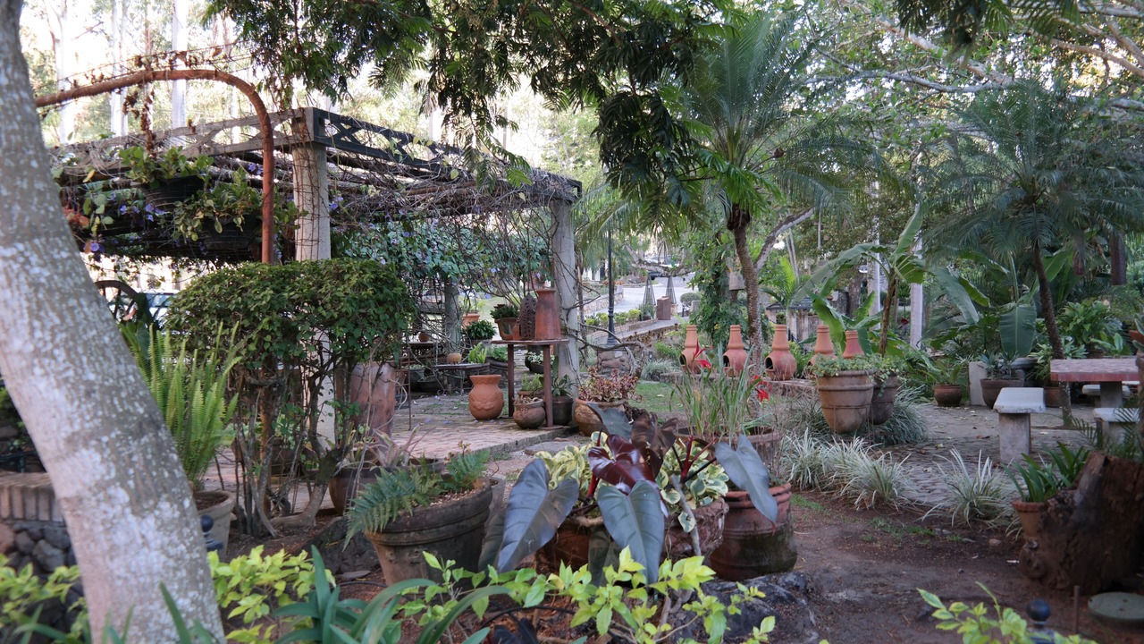 Photo of Patio Balcony in Tepic