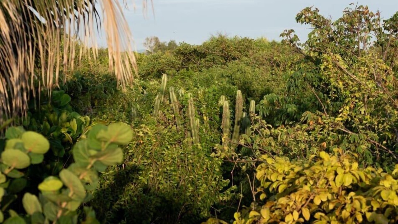 Photo of Outdoor in Santa Maria Tonameca