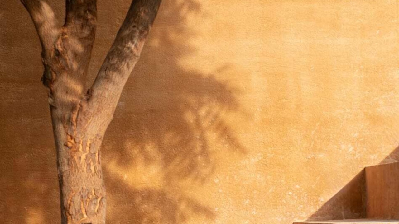 Photo of Others in Santa Maria Tonameca