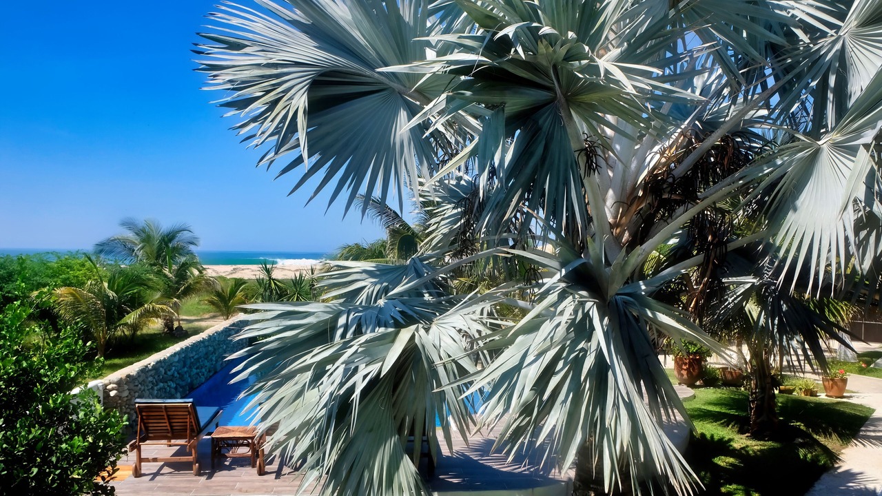 Photo of Patio Balcony in Barra de Colotepec