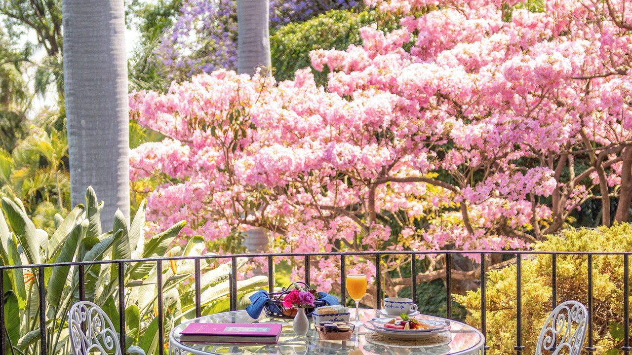 Photo of Outdoor in Carolina