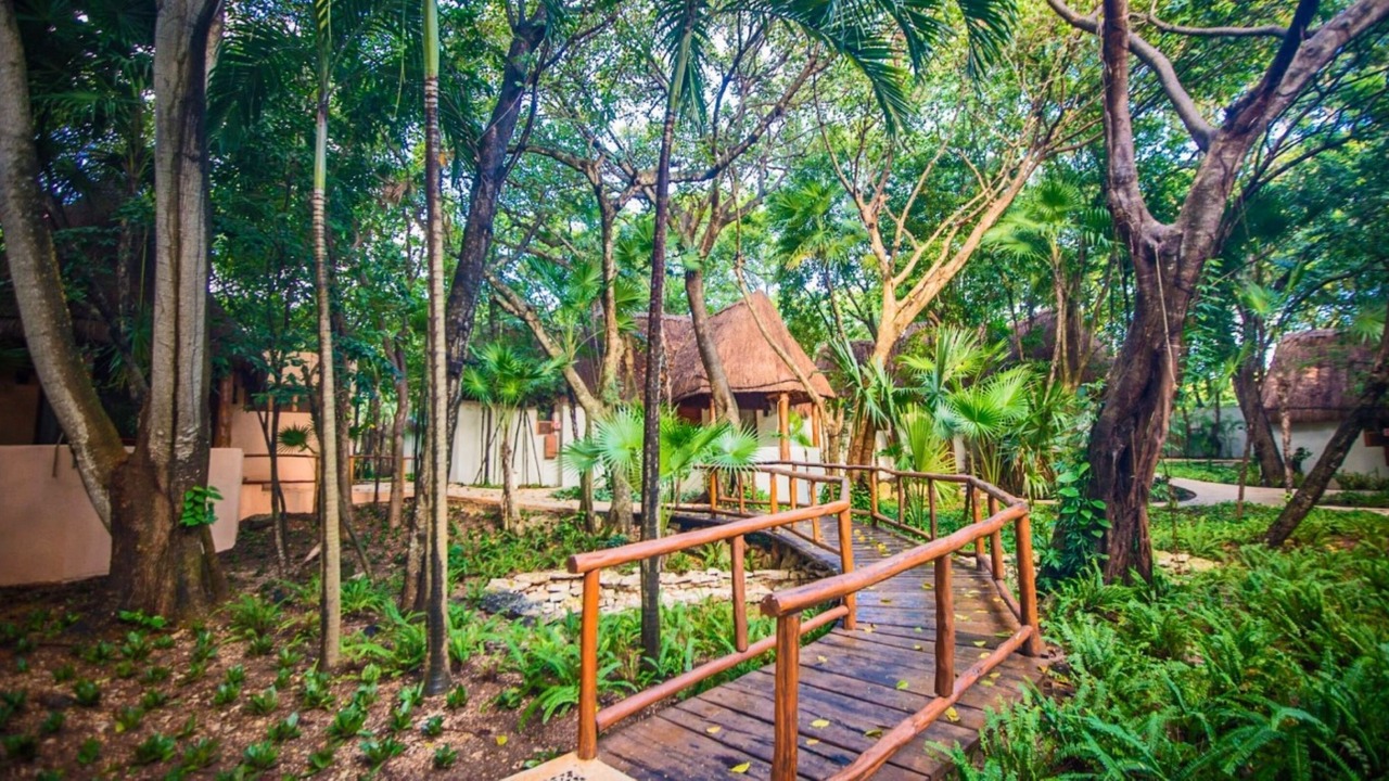 Photo of Outdoor in Gonzalo Guerrero