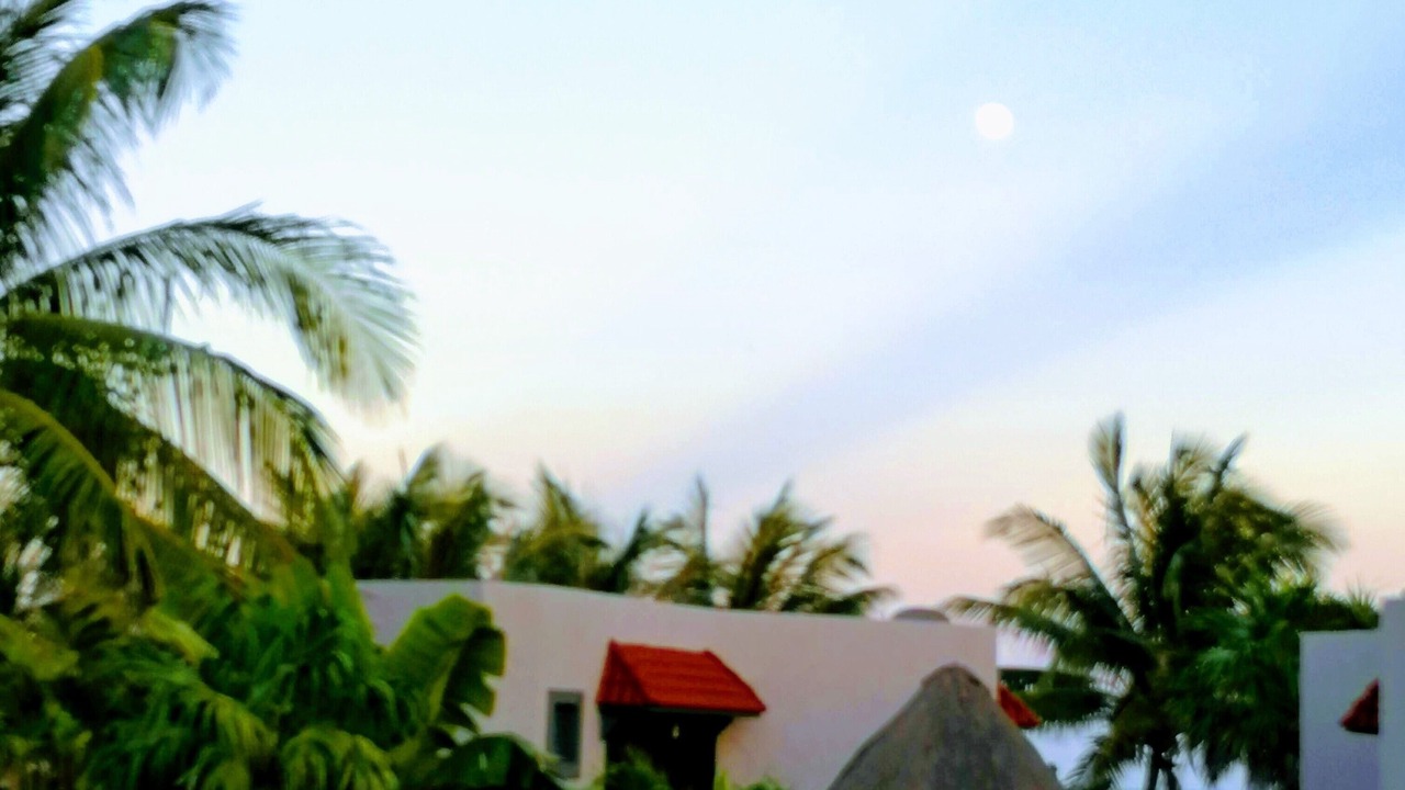 Photo of Outdoor in Mahahual