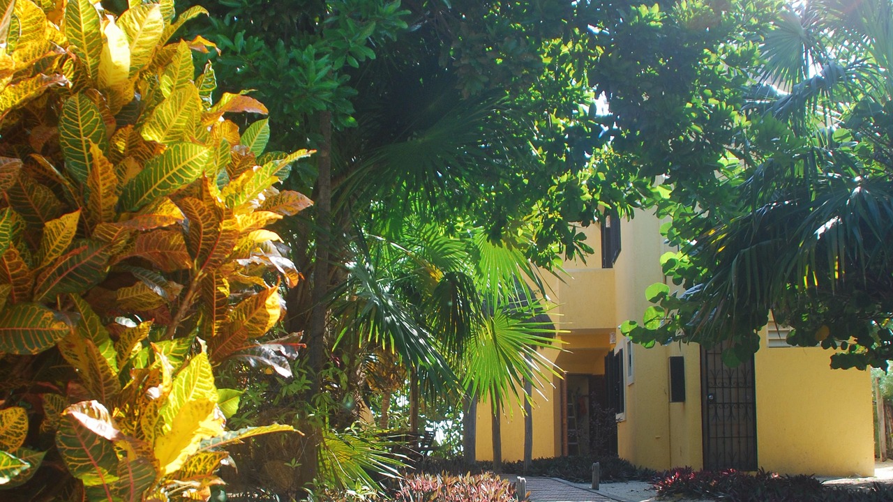 Photo of Others in Mahahual