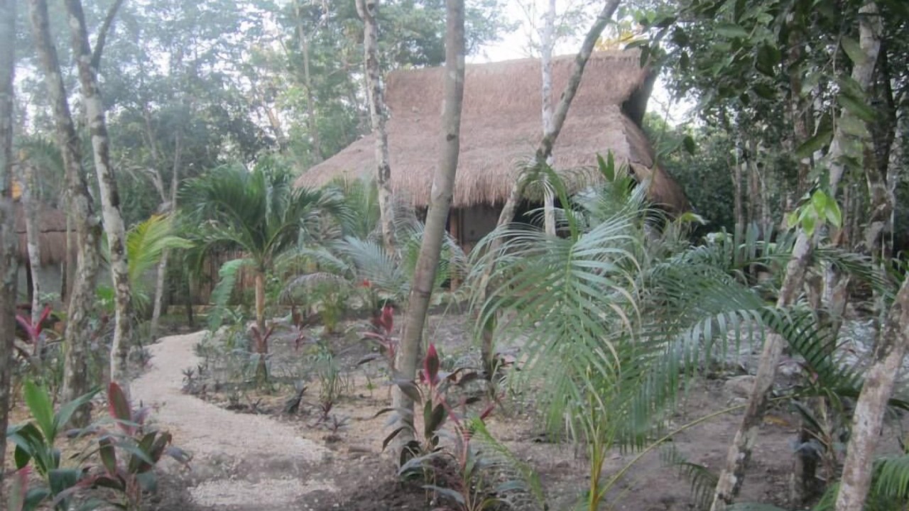 Photo of Outdoor in Macario Gomez