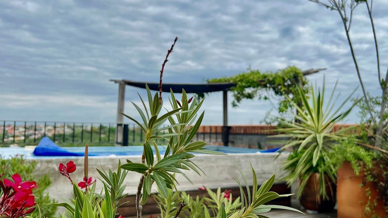 Photo of Outdoor in San Miguel de Allende