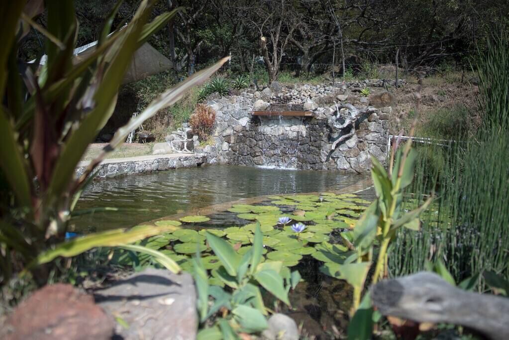 Photo of Outdoor in Amatlan