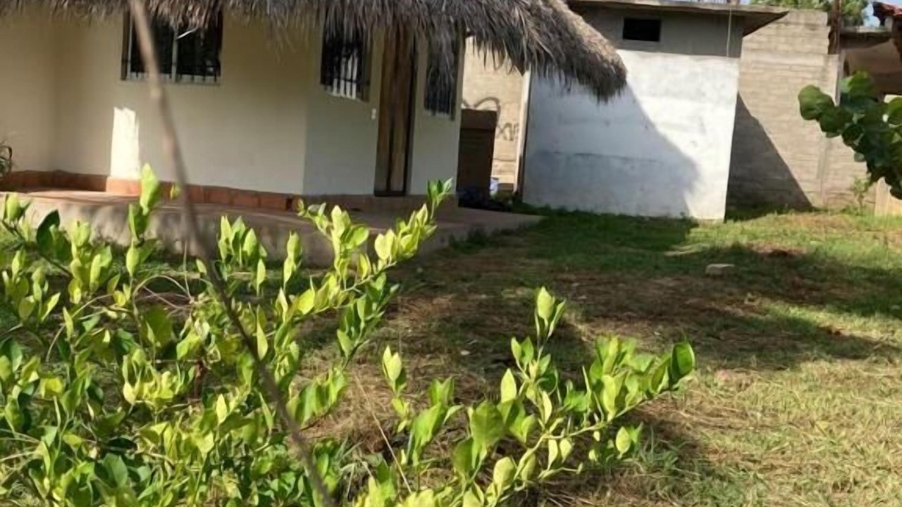 Photo of Outdoor in Los Tamarindos