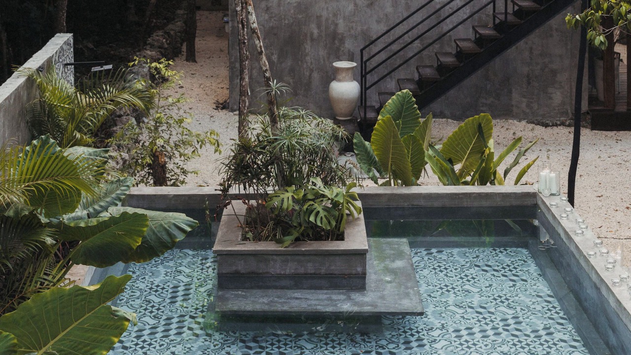 Photo of Outdoor in Leona Vicario
