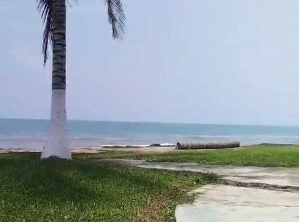 Photo of Others in Tecolutla