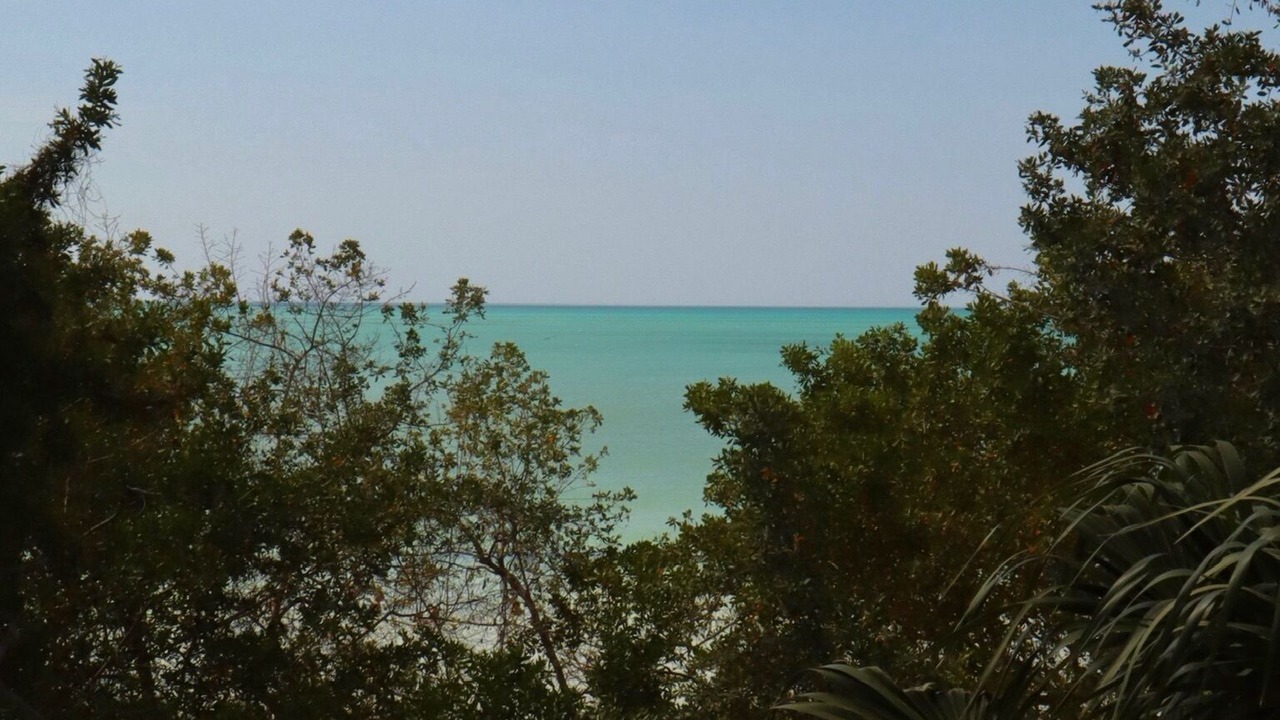 Photo of Others in Downtown Holbox