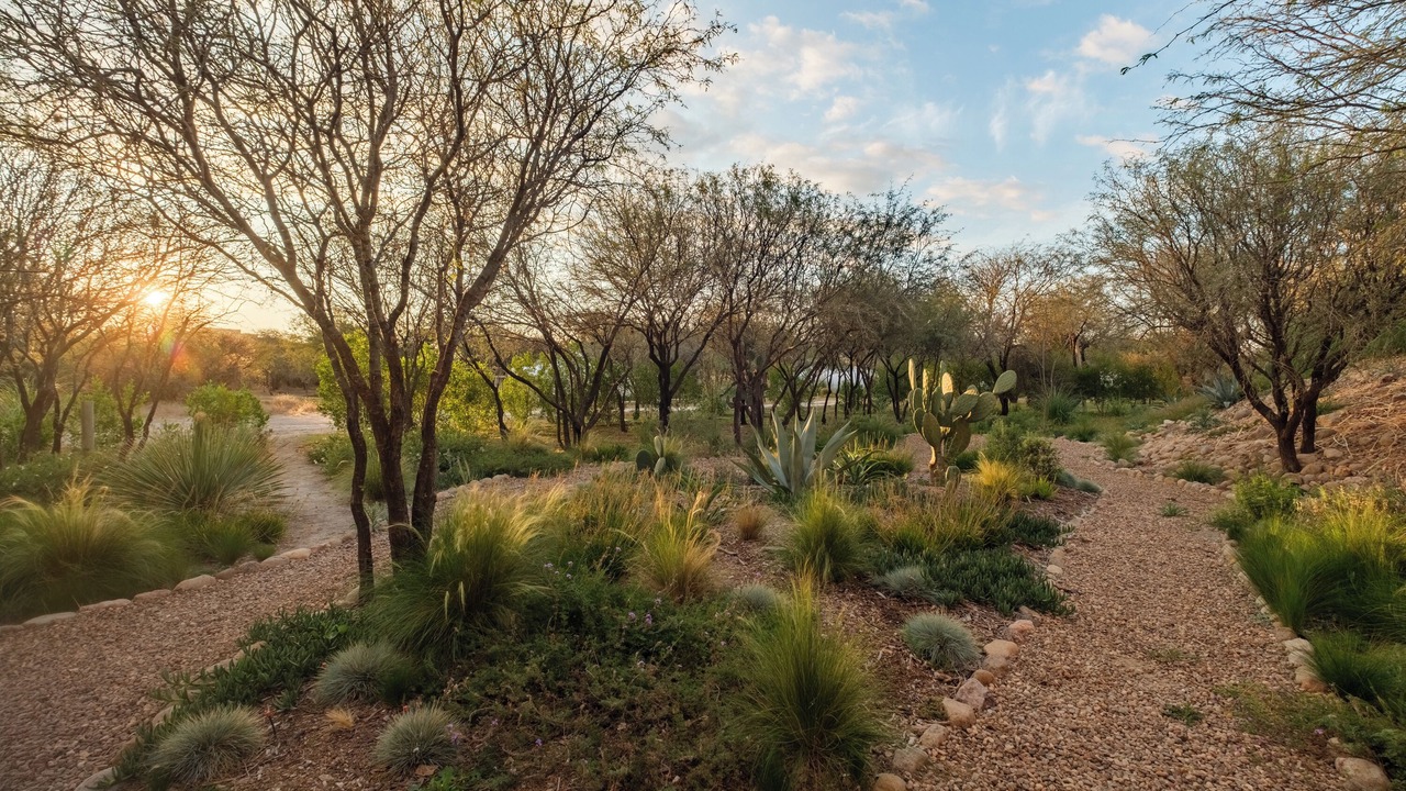 Photo of Outdoor in San Miguel de Allende