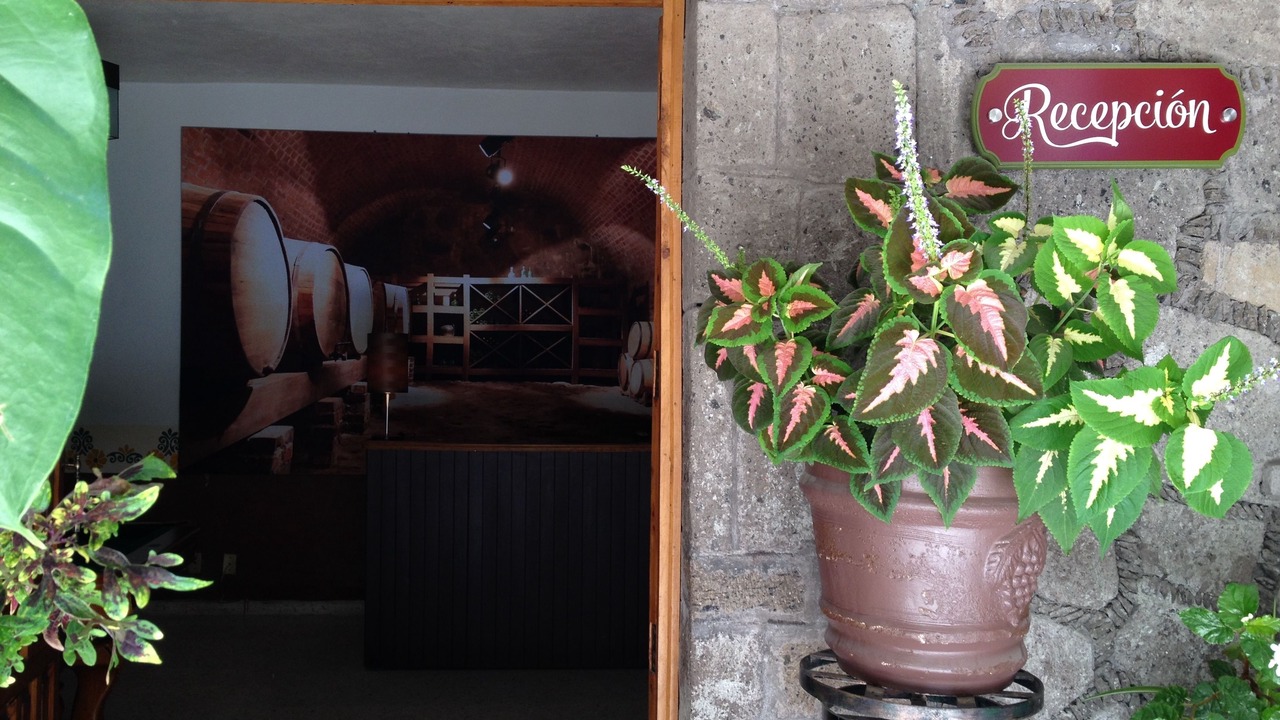 Photo of Outdoor in Centro