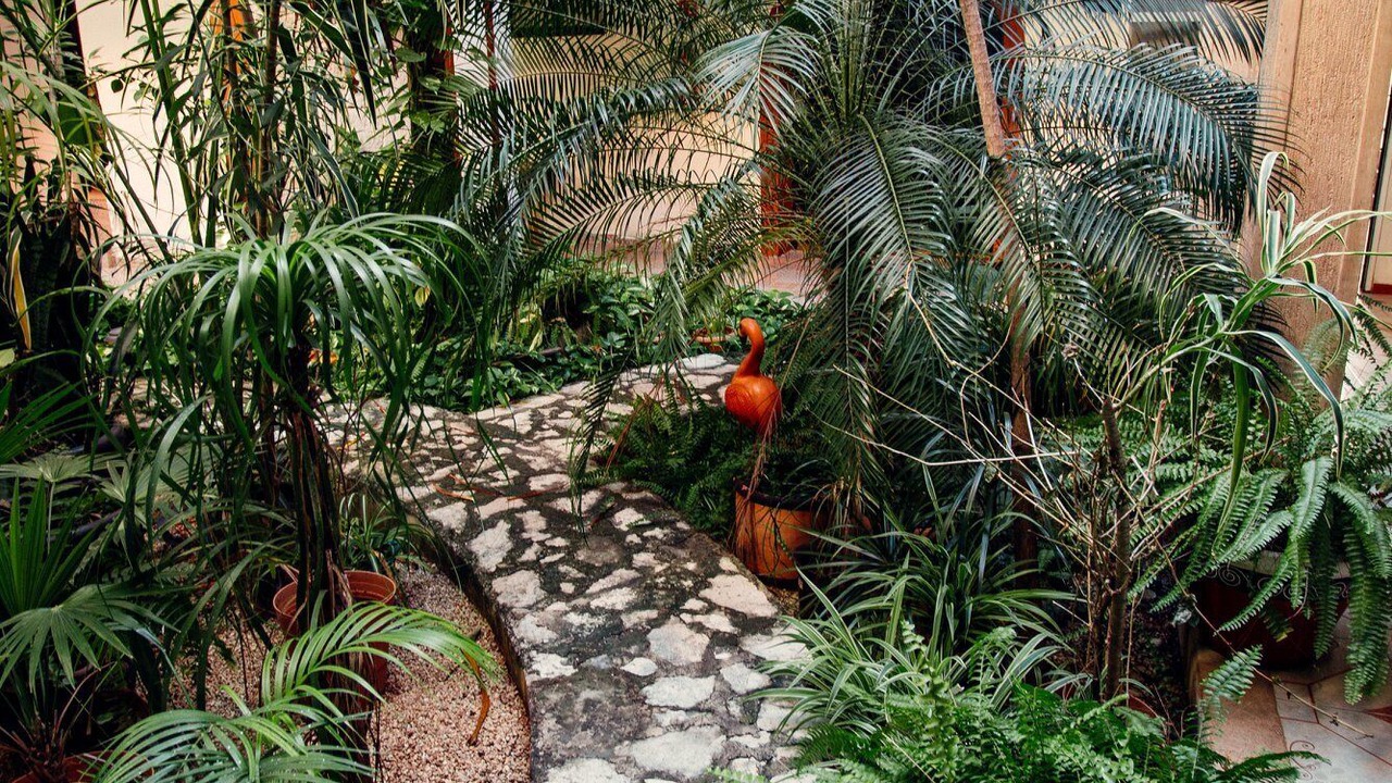 Photo of Outdoor in Valladolid