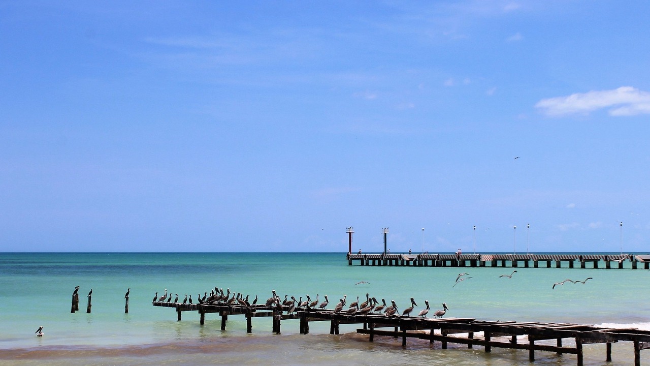 Photo of Outdoor in El Cuyo