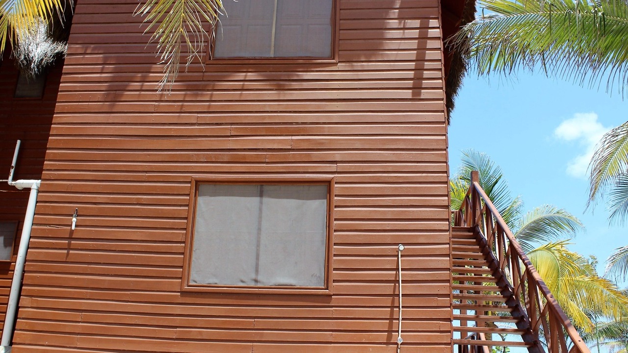 Photo of Outdoor in El Cuyo