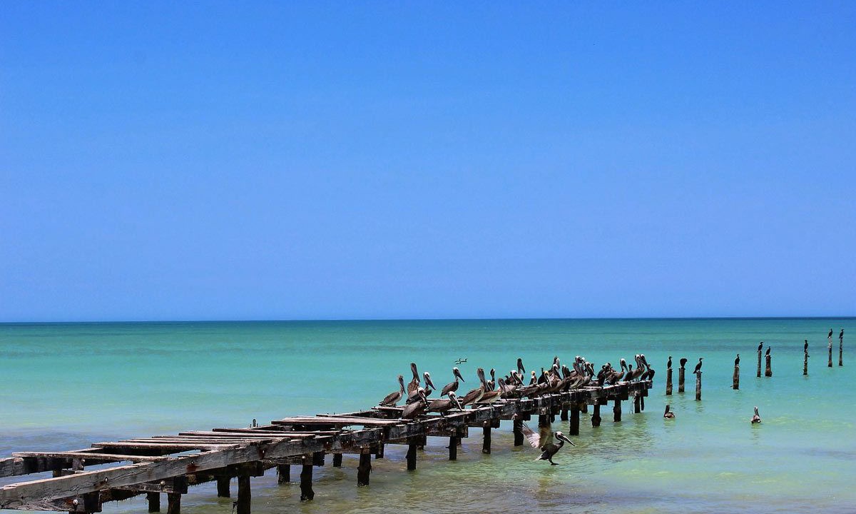 Photo of Outdoor in El Cuyo