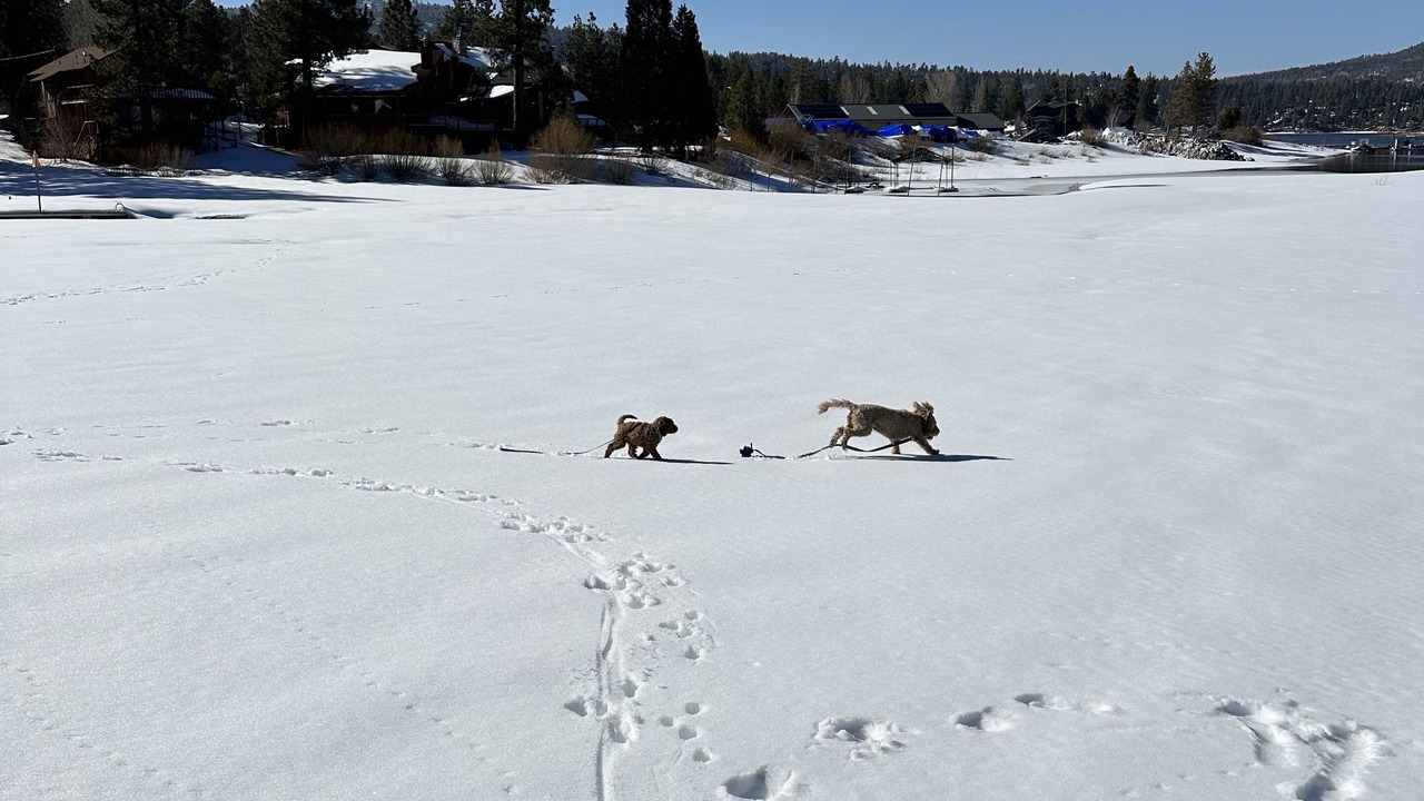 Photo of Others in Big Bear Lake