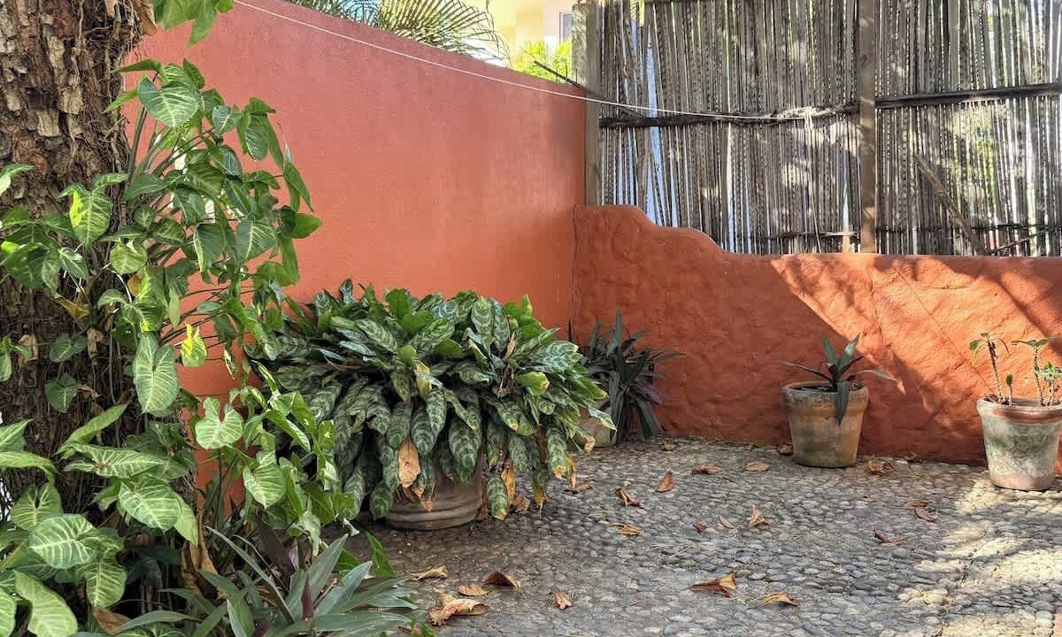 Photo of Outdoor in Hidalgo
