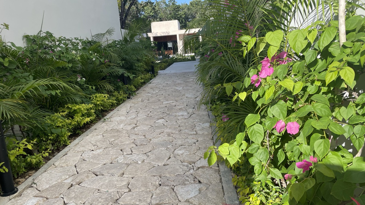 Photo of Outdoor in Puerto Juarez