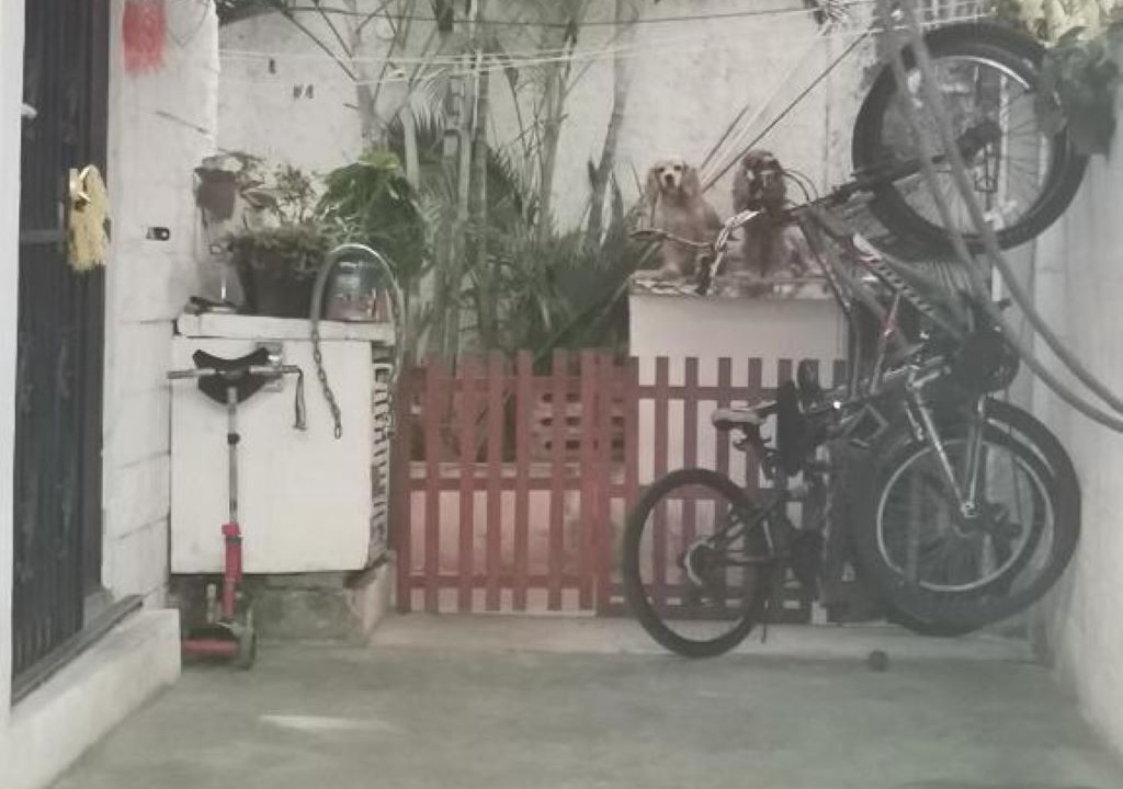 Photo of Outdoor in Centro