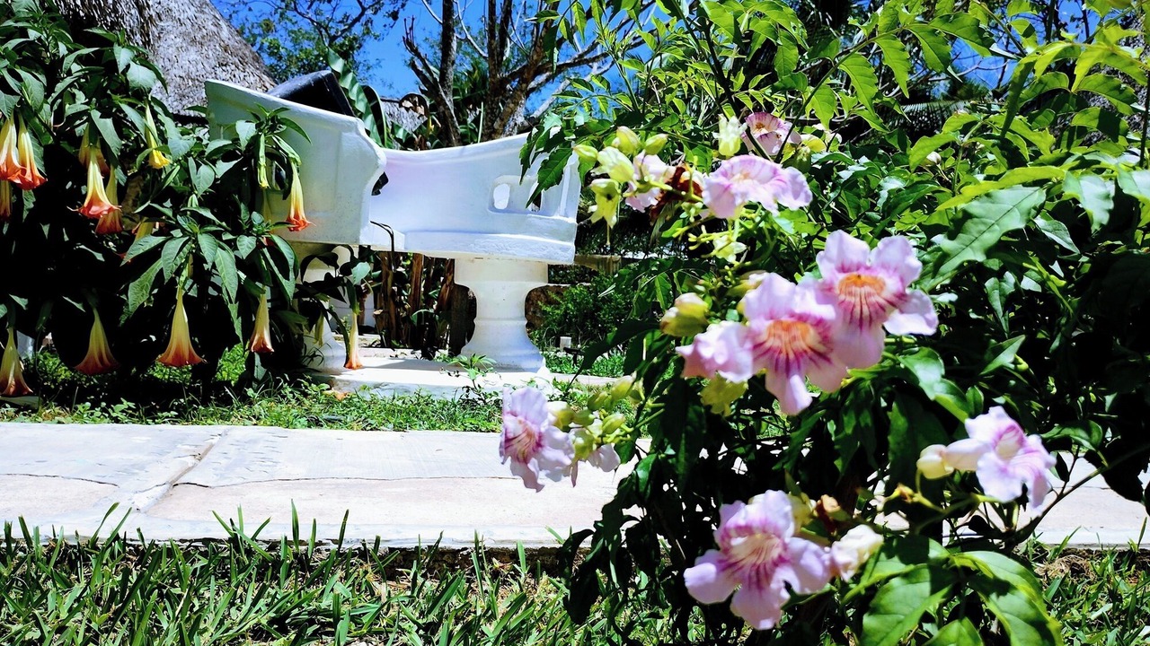 Photo of Outdoor in Izamal