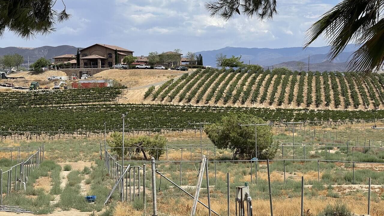 Photo of Others in Temecula
